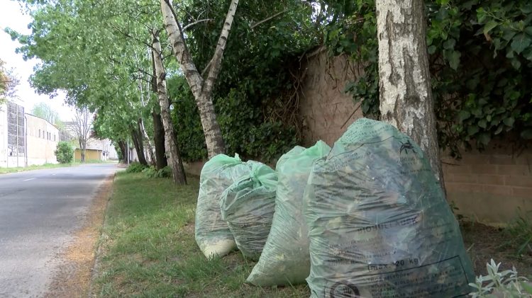 Tömegek mentek el az első alkalomra, hogy felvegyék az ingyenes zöldzsákot
