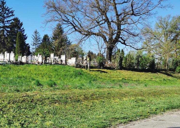 Képek: szerdán sem tétlenkedett a városfejlesztő