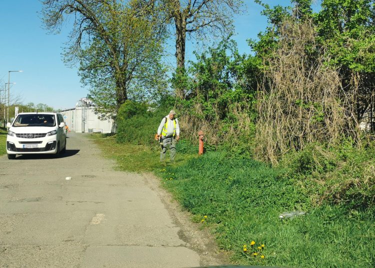 Képek: szerdán sem tétlenkedett a városfejlesztő