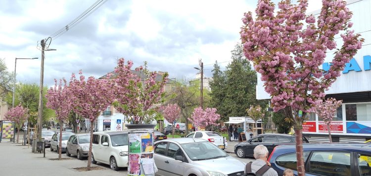 A következő napokban közel 30 fok is lehet
