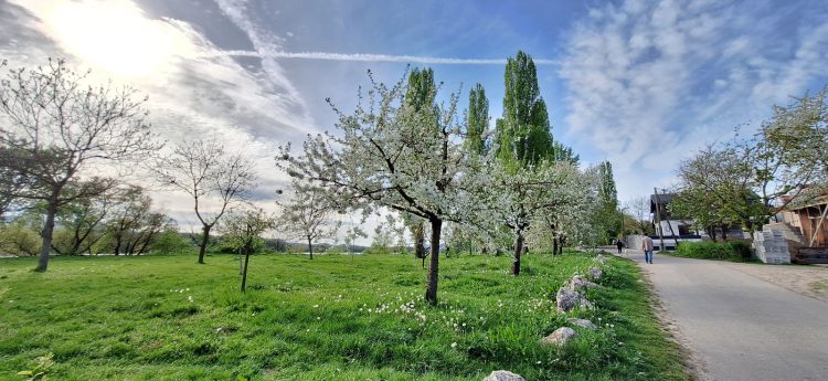 Nyáriasan indul a hét