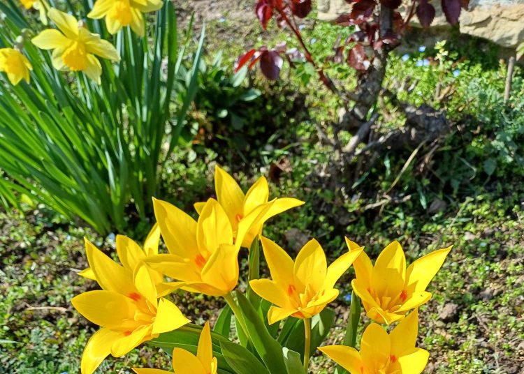 Kedden is Vác „csinosításán” dolgozott a városfejlesztő