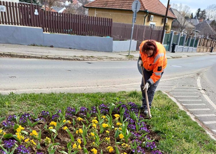 Kedden is Vác „csinosításán” dolgozott a városfejlesztő