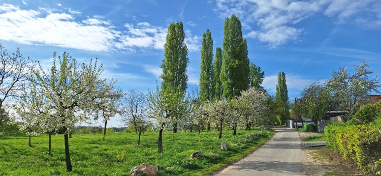 Vasárnapig nyáriasra melegedhet a hőmérséklet