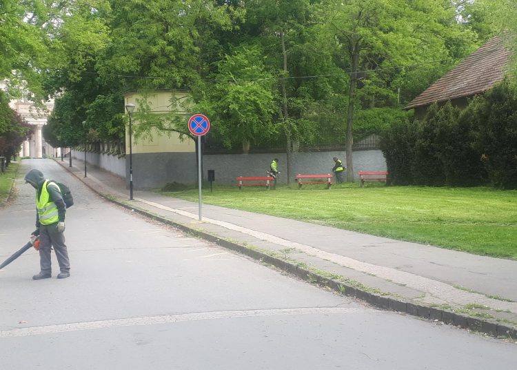 Városszerte végzett fűnyírást a városfejlesztő