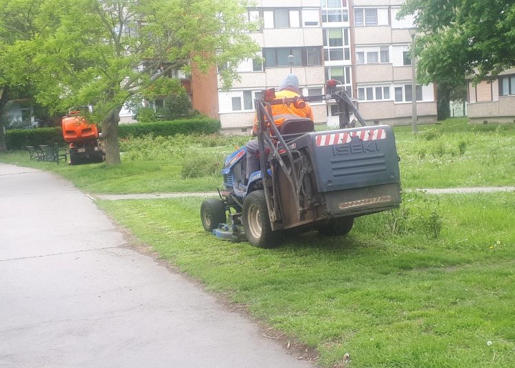 Városszerte végzett fűnyírást a városfejlesztő