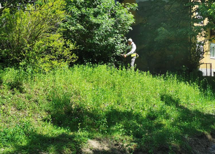 Hétfőn sem tétlenkedett a városfejlesztő