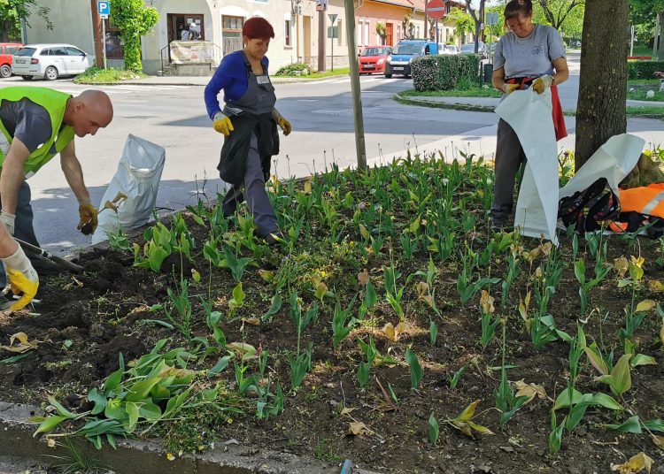 Hétfőn sem tétlenkedett a városfejlesztő