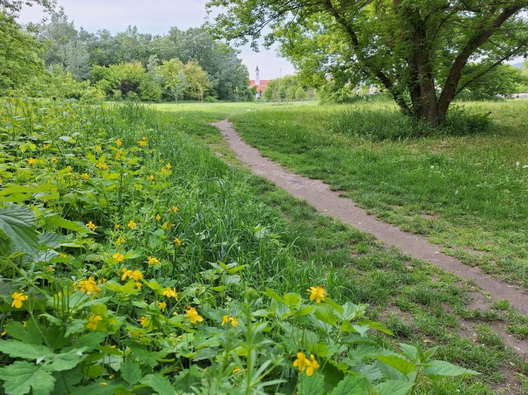 Kora nyárias, de kissé szeles időre van kilátás