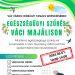 Vác Város Idősügyi Tanácsa szervezésében általános egészségügyi szűrés kerül megrendezésre a Váci majálison.