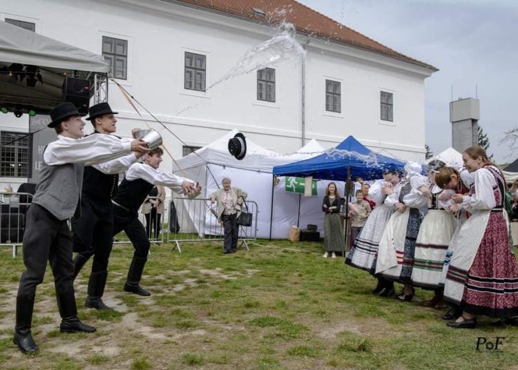 Sonkaszegő fesztivál volt Vácon