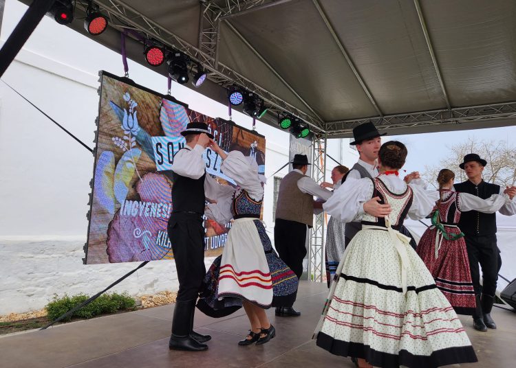 Sonkaszegő fesztivál volt Vácon