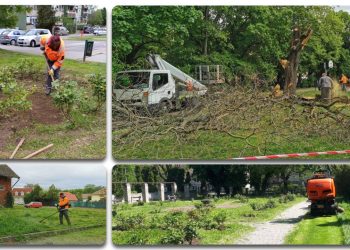 A héten ezen a helyeken fog dolgozni a városfejlesztő