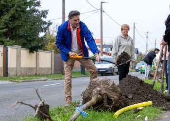 Jóval több forrást szántak városüzelmeltetésre az elmúlt négy évben