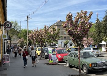 Hetekkel korábban érkezik a tavasz, kivirágzott a japán díszcseresznyesor