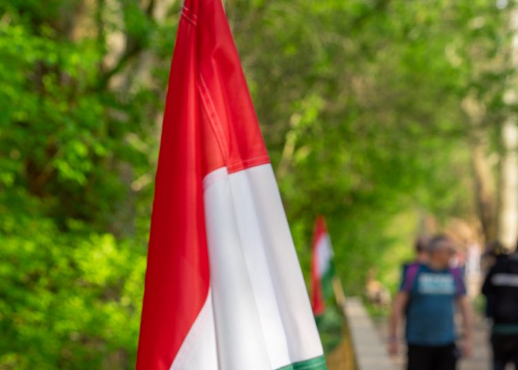 Ahogy az ESTV riportja előre megjósolta: az osztrák csapatok elvesztették a csatát (fotógaléria)