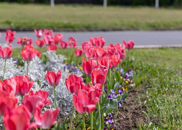 Kedden is Vác „csinosításán” dolgozott a városfejlesztő