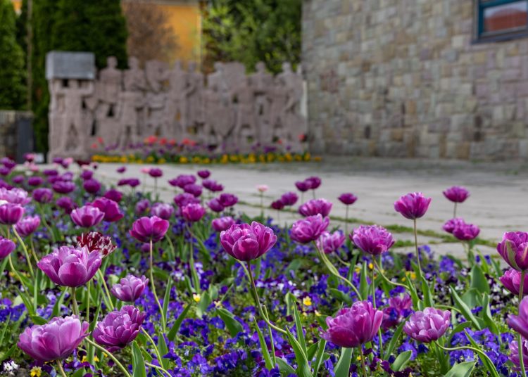 Virágban úszik Vác