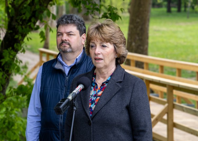 Teljesen megújult a ligeti fahíd