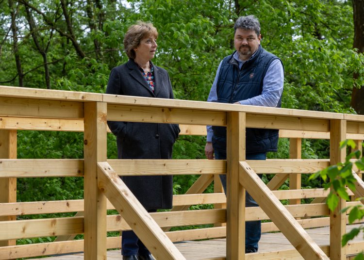 Teljesen megújult a ligeti fahíd