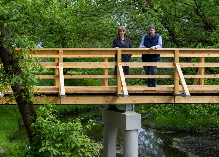 Teljesen megújult a ligeti fahíd