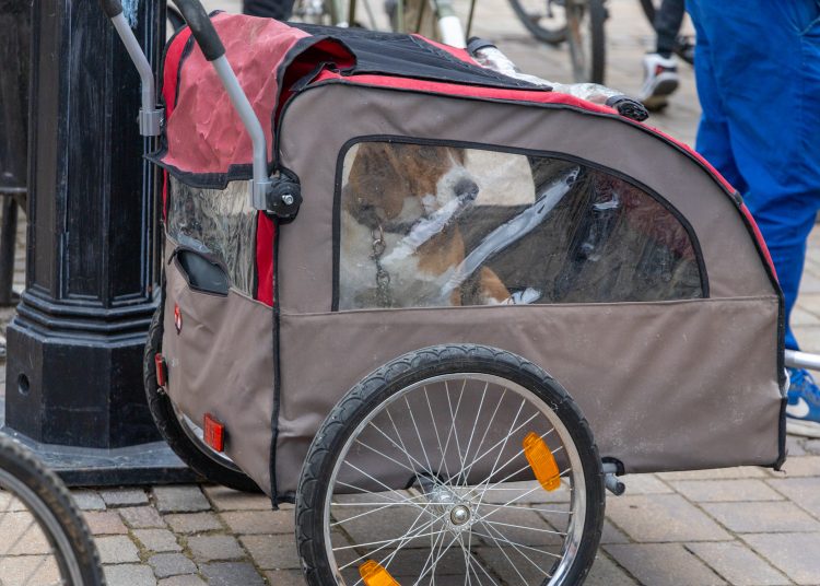 Kerékpárosok lepték el Vácot (képgaléria)