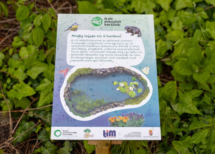 A mi sokszínű kertünk; érdekességekkel várta a látogatókat a Pannónia Ház udvara