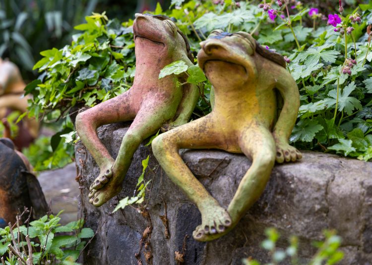 A mi sokszínű kertünk; érdekességekkel várta a látogatókat a Pannónia Ház udvara