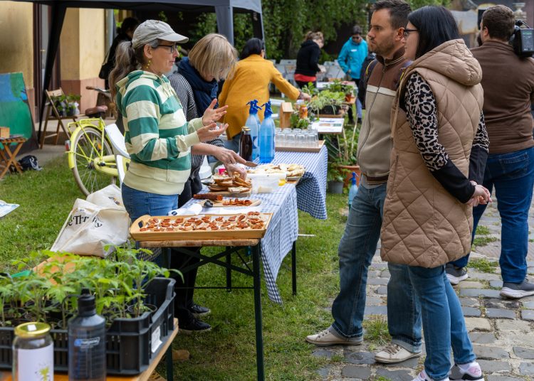 A mi sokszínű kertünk; érdekességekkel várta a látogatókat a Pannónia Ház udvara