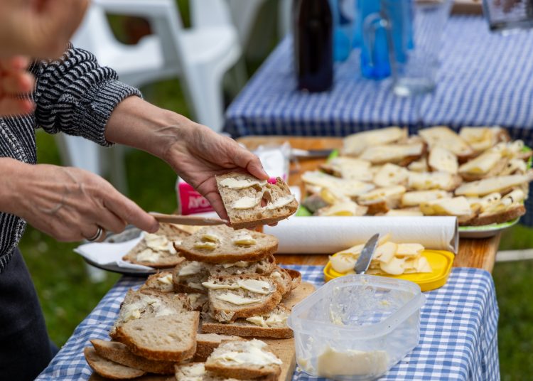 A mi sokszínű kertünk; érdekességekkel várta a látogatókat a Pannónia Ház udvara