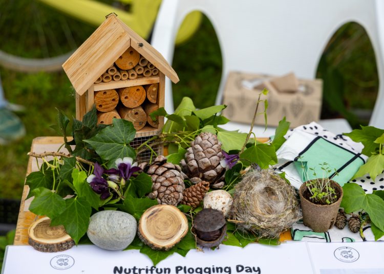 A mi sokszínű kertünk; érdekességekkel várta a látogatókat a Pannónia Ház udvara