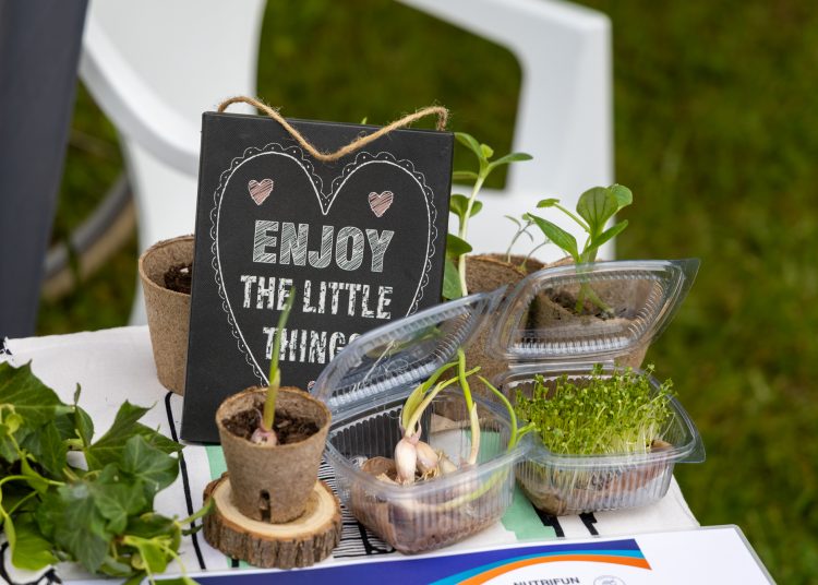 A mi sokszínű kertünk; érdekességekkel várta a látogatókat a Pannónia Ház udvara