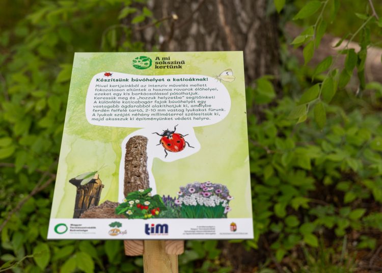 A mi sokszínű kertünk; érdekességekkel várta a látogatókat a Pannónia Ház udvara