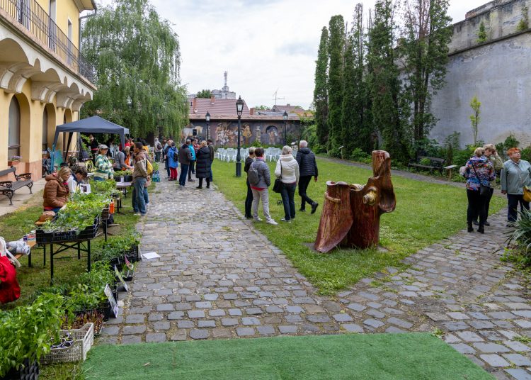 A mi sokszínű kertünk; érdekességekkel várta a látogatókat a Pannónia Ház udvara