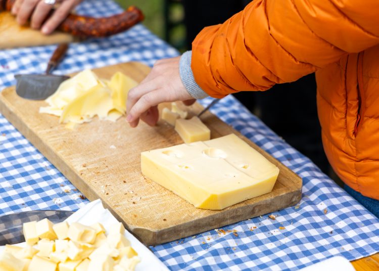 A mi sokszínű kertünk; érdekességekkel várta a látogatókat a Pannónia Ház udvara