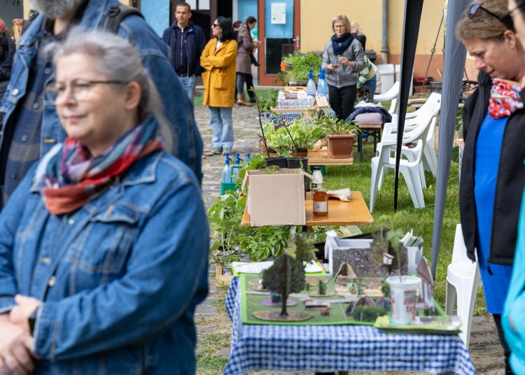 A mi sokszínű kertünk; érdekességekkel várta a látogatókat a Pannónia Ház udvara