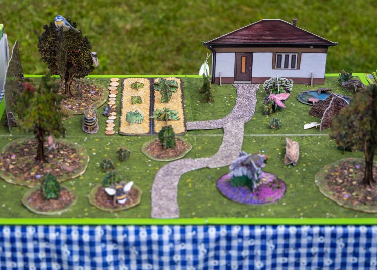 A mi sokszínű kertünk; érdekességekkel várta a látogatókat a Pannónia Ház udvara