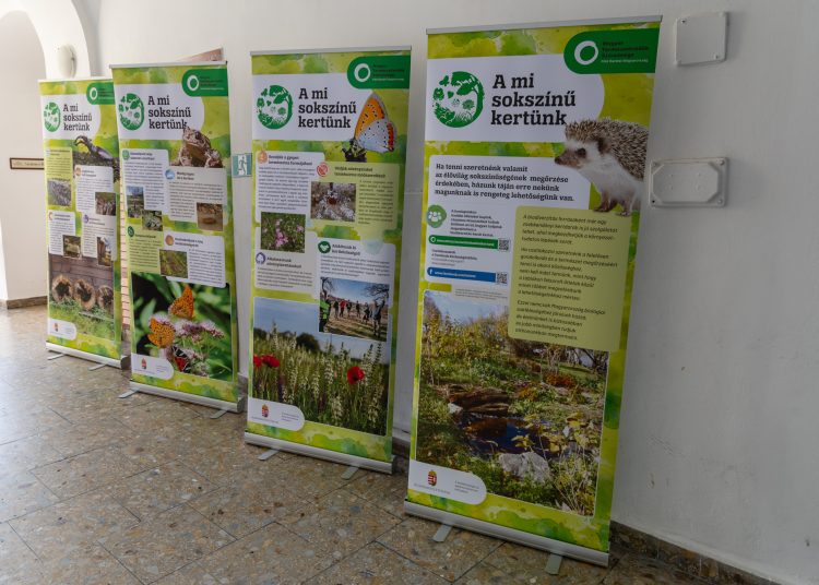 A mi sokszínű kertünk; érdekességekkel várta a látogatókat a Pannónia Ház udvara