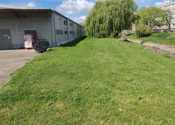 Elvitte a szolgáltató a felhalmozott hulladékot