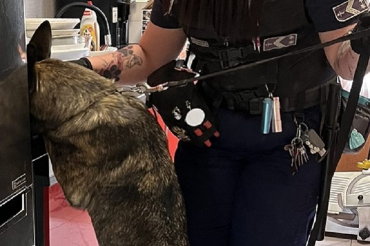 Pénz mellett bűncselekményből származó tárgyakat is elfogadott a kábítószerért cserébe egy váci férfi