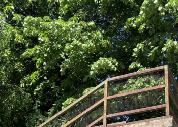 Hamarosan biztonságosabb lesz a Végh Dezső utcai lépcsősor