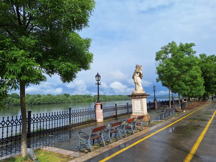 Májusi eső aranyat ér