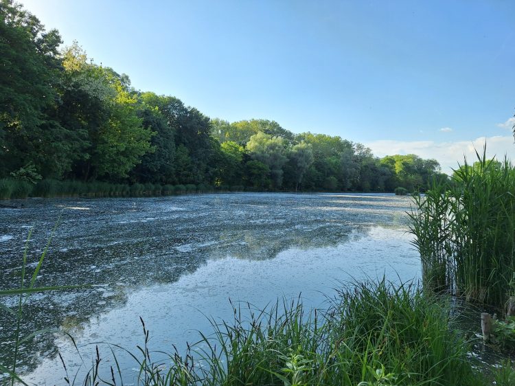 Derült, szeles idővel kezdődik a hét