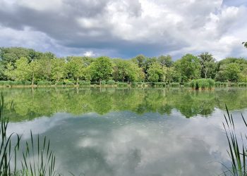 Záporok, zivatarok várhatók a hétvégén is