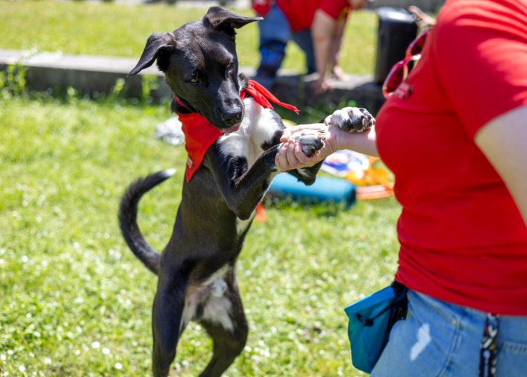 Így zajlott a Közösségek Napja (fotógaléria)