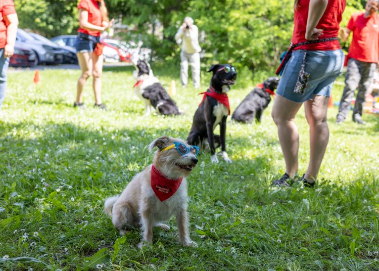Így zajlott a Közösségek Napja (fotógaléria)