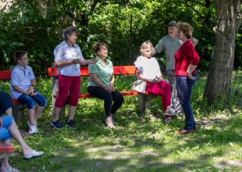 Parkká alakították a Párta utcai „kisfenyvest”