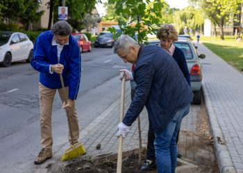 A kormányközeli médiumot perelte meg a valótlan állítások miatt, facsemetéket vásárolt a pénzből a körzeti képviselő