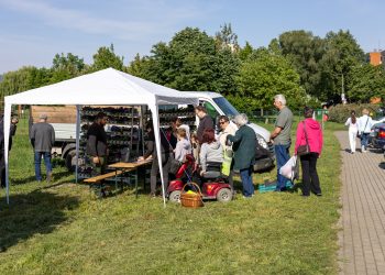 Elstartolt az idei Virágos Vácért verseny a hétvégén