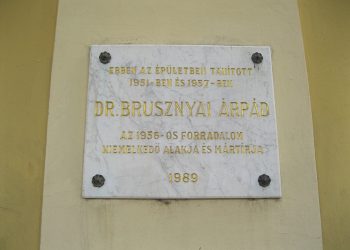 A száz éve szülelett Dr. Brusznyai Árpádra emlékeztek Vácon